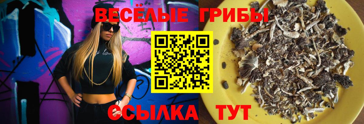 Ликино-Дулёво  Псилоцибиновые грибы Psilocybine cubensis  Вход с VPN  Галлюциногенные грибы GOLDEN TEACHER 
