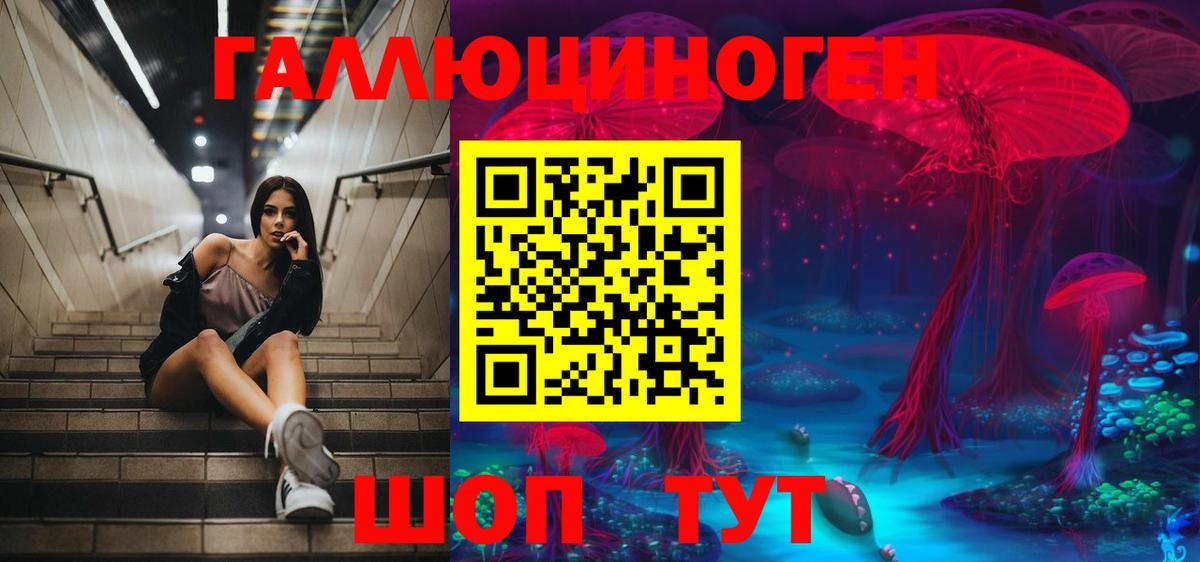 Галлюциногенные грибы Psilocybine cubensis Ликино-Дулёво